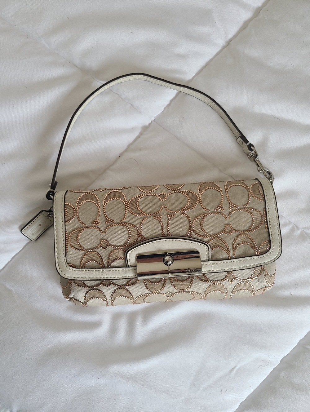 Crystal Coach Bag